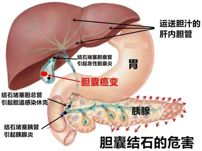 微信圖片_20240112151344.jpg