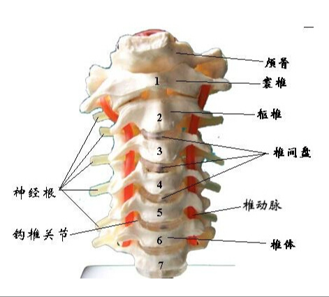 QQ截圖20240207110430.png