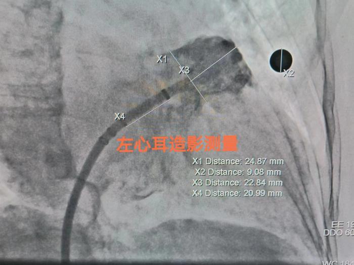 微信圖片_20240207110731.jpg