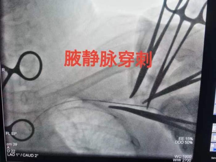 微信圖片_20240510175258.jpg