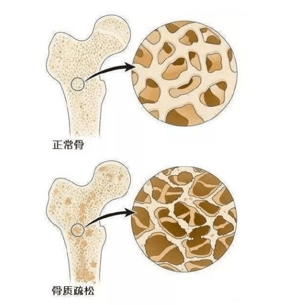 微信圖片_20240606115541.jpg
