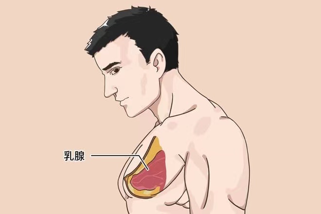微信圖片_20240701151959.jpg
