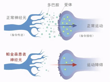 微信圖片_20250410161700.png